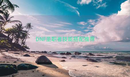 DNF圣职者技能搭配推荐