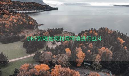 DNF剑魂如何利用环境进行战斗