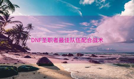 DNF圣职者最佳队伍配合战术