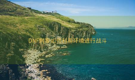 DNF刺客如何利用环境进行战斗