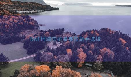 DNF地城守护者最佳副手选择