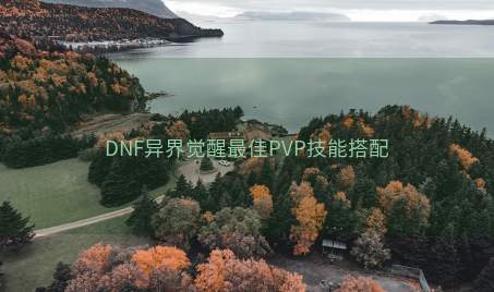 DNF异界觉醒最佳PVP技能搭配