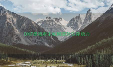 DNF黑暗君主如何提升生存能力