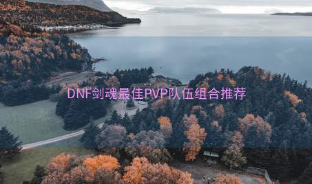 DNF剑魂最佳PVP队伍组合推荐