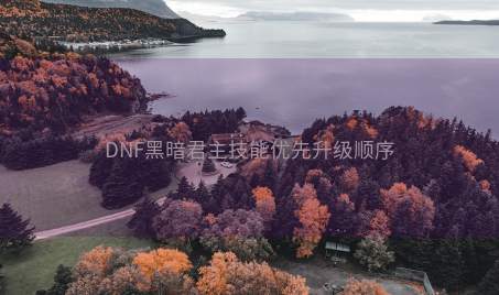 DNF黑暗君主技能优先升级顺序