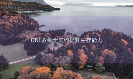 DNF驭剑士如何提升生存能力